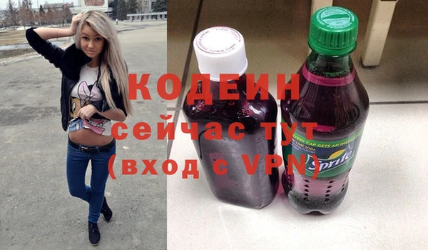 хмурый Алексин