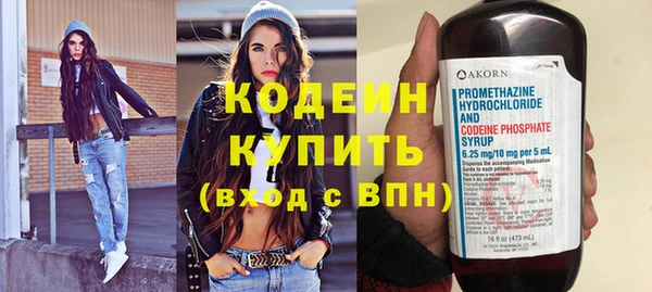 хмурый Алексин