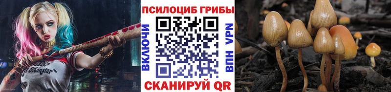 Псилоцибиновые грибы Psilocybe  Норильск 