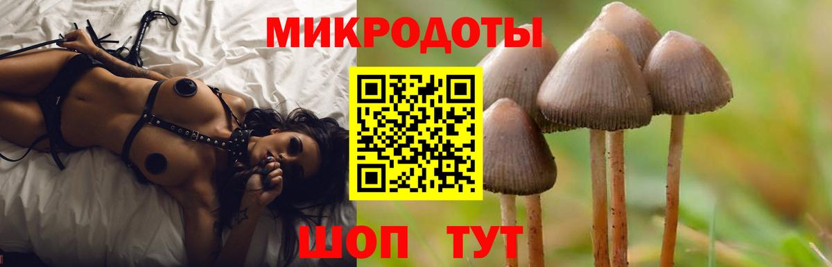 Галлюциногенные грибы GOLDEN TEACHER  Псилоцибиновые грибы прущие грибы  Вход с VPN  Норильск 